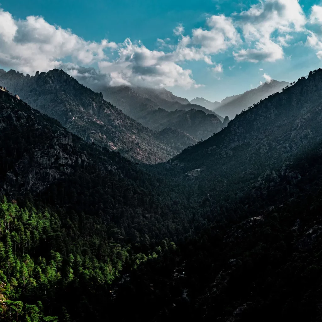 Le montagne della Corsica, culla della razza suina nera corsa
