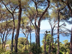 Ajaccio in southern Corsica