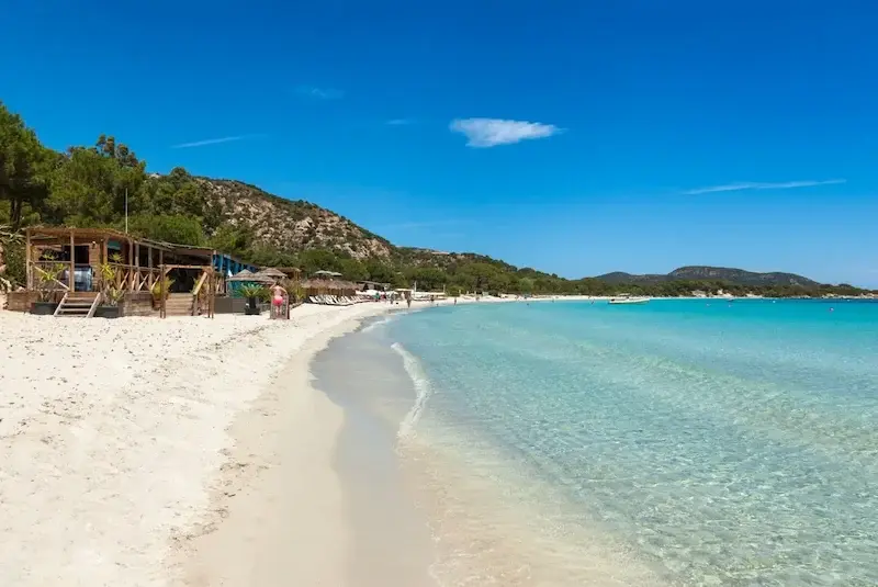 plage-amenagee-de-palombaggia-corse-du-sud Plage de sable blanc bordée d'une eau transparente et d'un établissement de bord de mer sous un ciel bleu azur en Corse.
