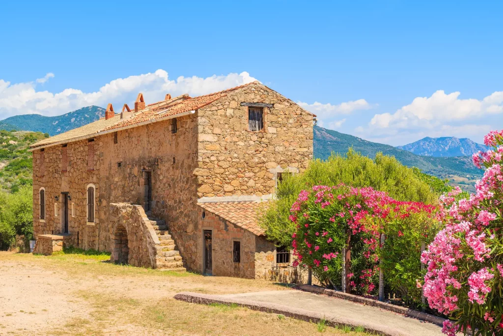Haute-Corse bâtisses en pierre et villages authentiques Maison en pierres typique de la Balagne entourée d’oliviers et de fleurs.