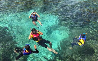 Les meilleurs spots de snorkeling en Corse : à la découverte des fonds marins de l’Île de Beauté