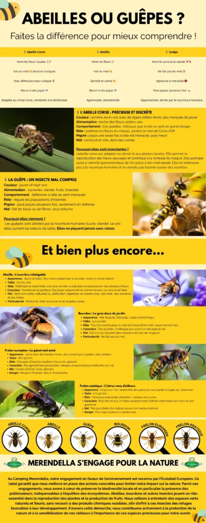 Panneau pédagogique sur la différence entre abeilles corses et guêpes au Camping Merendella
