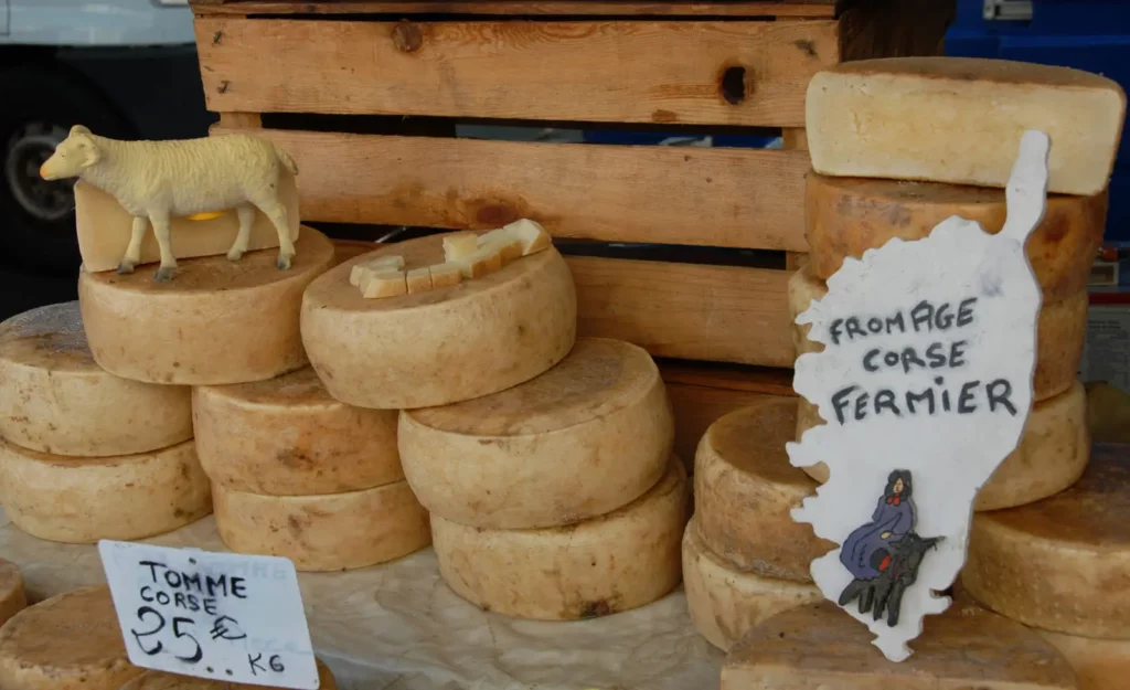 Spécialités fromagères corses Assortiment de tommes corses exposées sur un marché, avec une étiquette “fromage corse fermier”