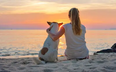 Urlaub auf Korsika mit Ihrem Hund: Der Expertenleitfaden 2026 zur Auswahl des richtigen Campingplatzes