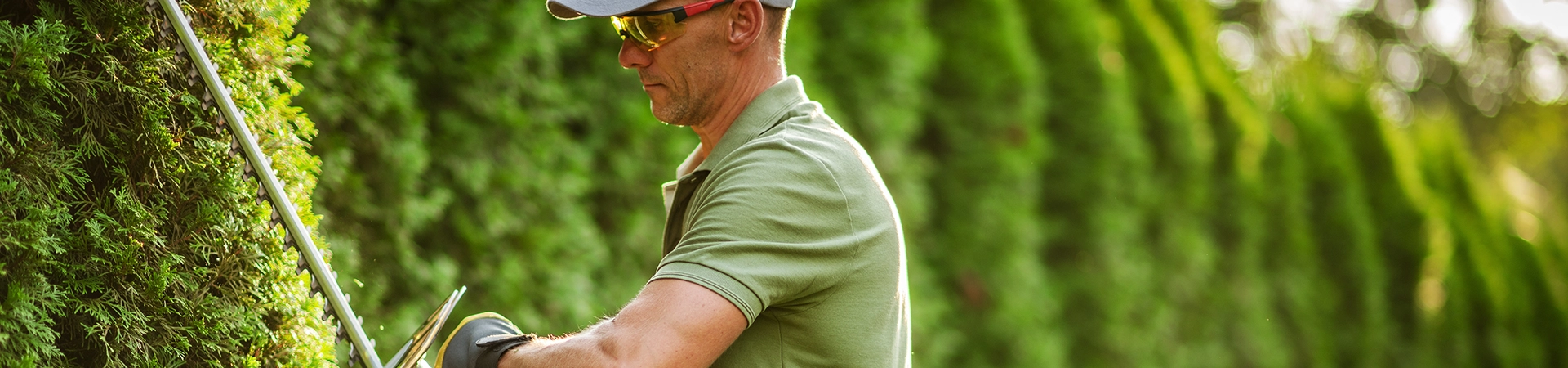 bandeau-haut-recrutements-jardinier