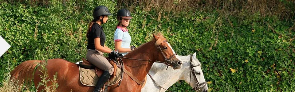 Corse activites equitation
