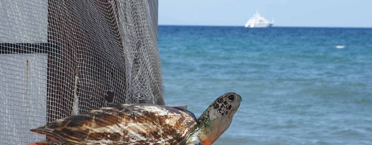 Dimanche 15 D Cembre 2019