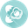 oeufs